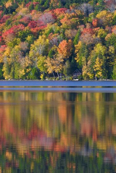 ME, Acadia NP Fall foliage and lake